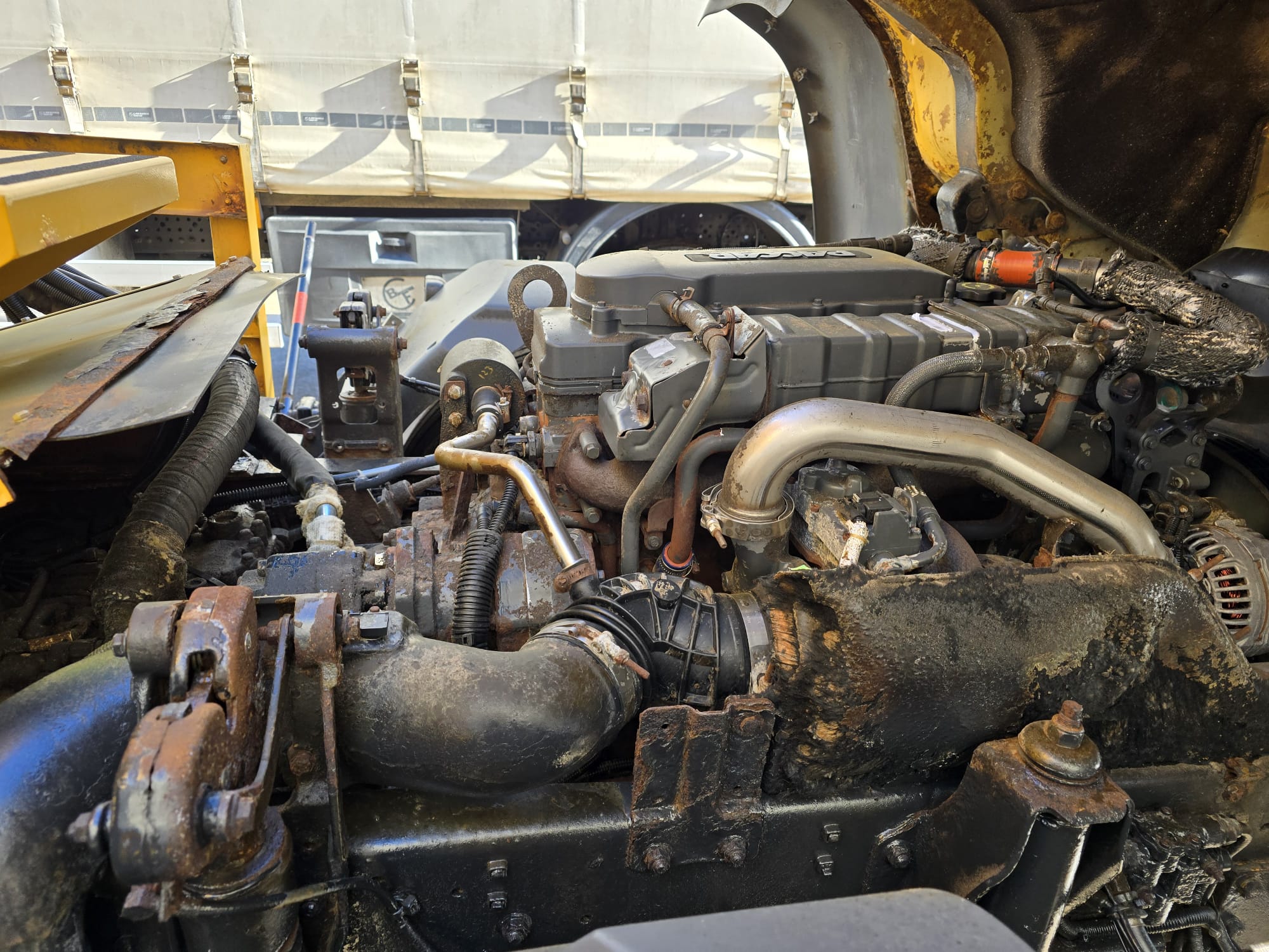 DAF LF 250 4×2 Sleeper Cab Gritter
