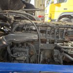 DAF CF65 220 Sleeper Cab Fridge Box - thumbnail