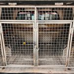 Nissan Navara 2.3 DCI 4×4 Acenta Pick Up Auto - thumbnail