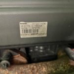 Scania P280 6×2 Rear Lift Day Cab Fridge Box - thumbnail